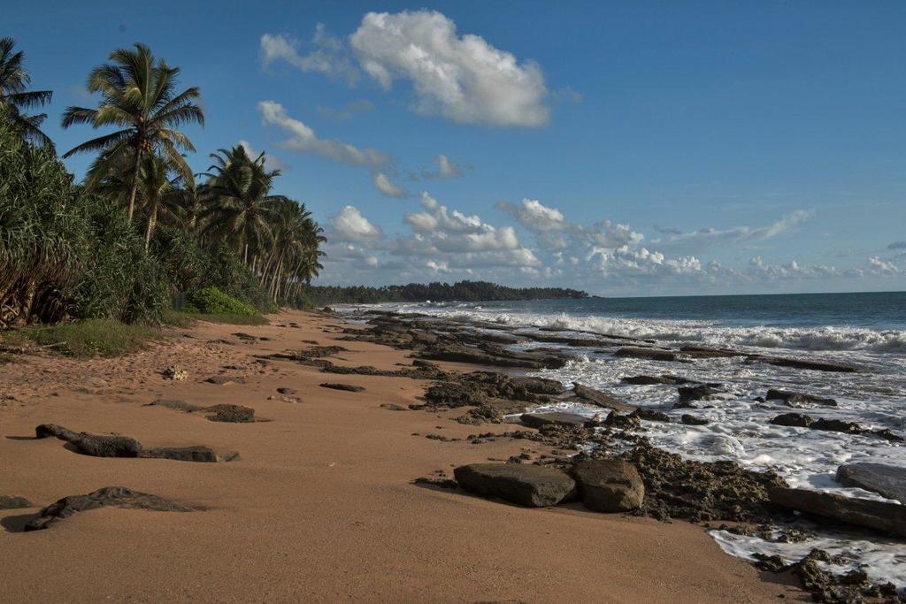 Hotel Garden Beach Kosgoda Exterior photo